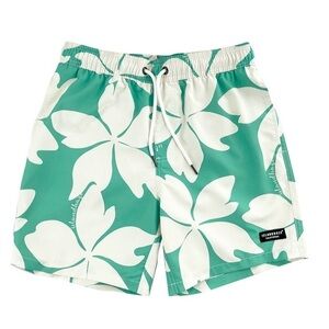 Islandhaze California Men's 6'' Volley Swim Shorts Clover Size Small